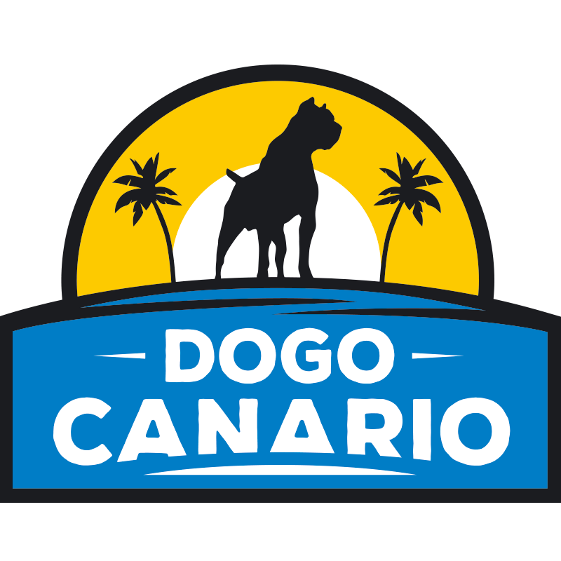 Cofete - Dogo Canario